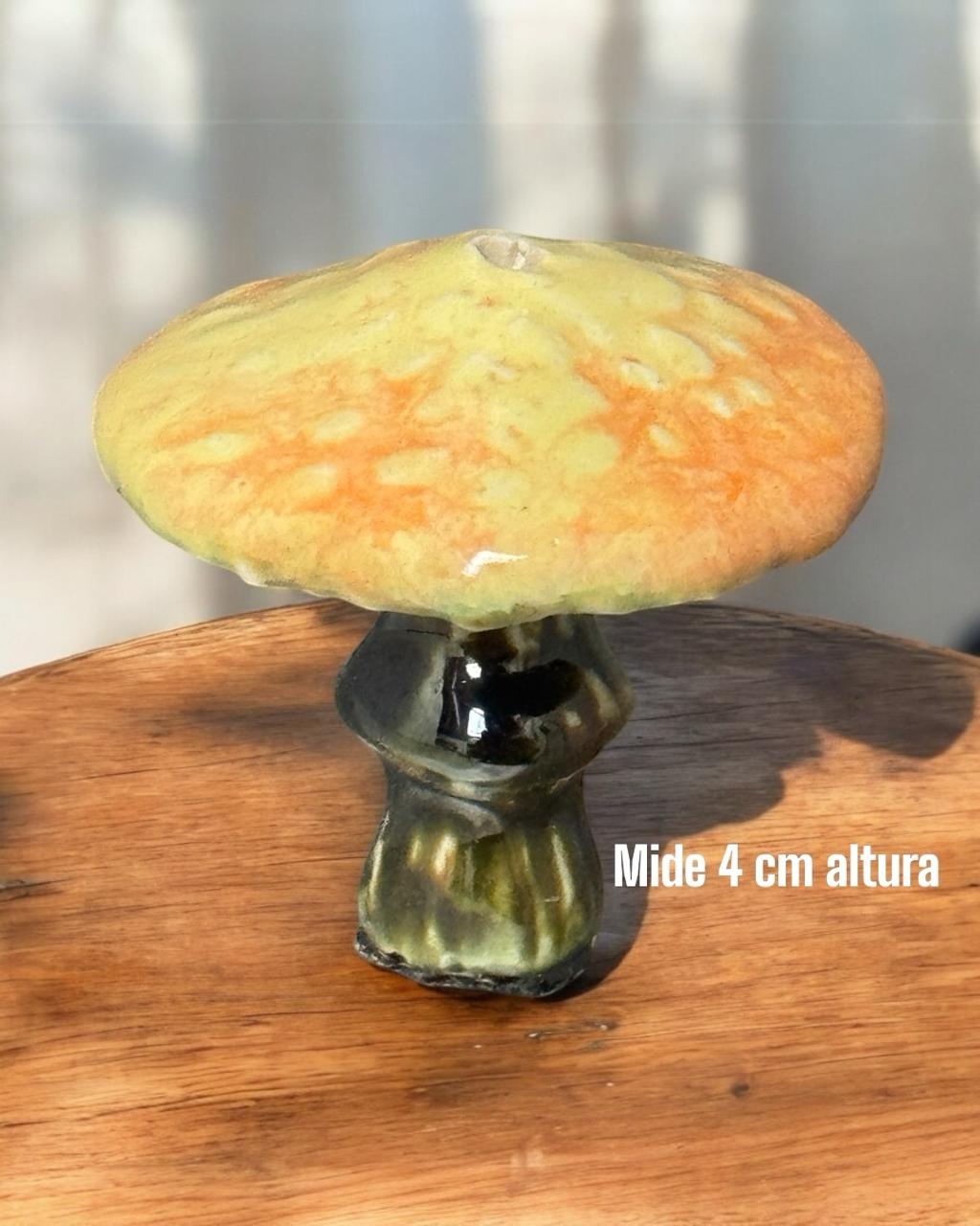 Quemador de Incienso Artesanal [Hongo sombrero]