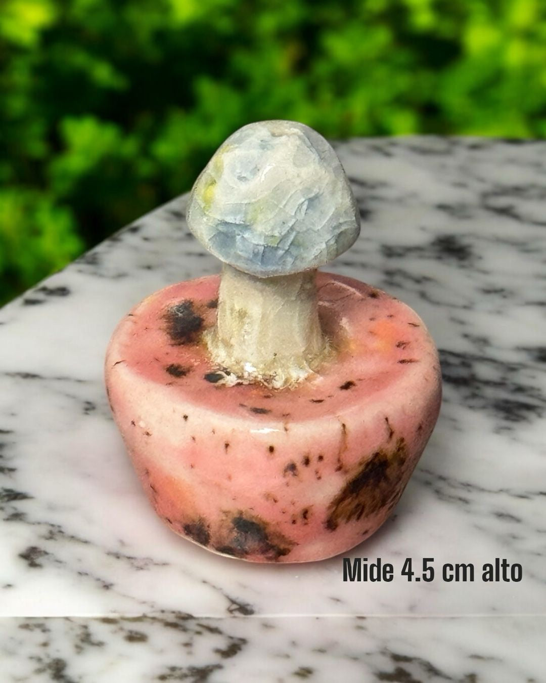 Quemador de Incienso Artesanal [Hongo en base]