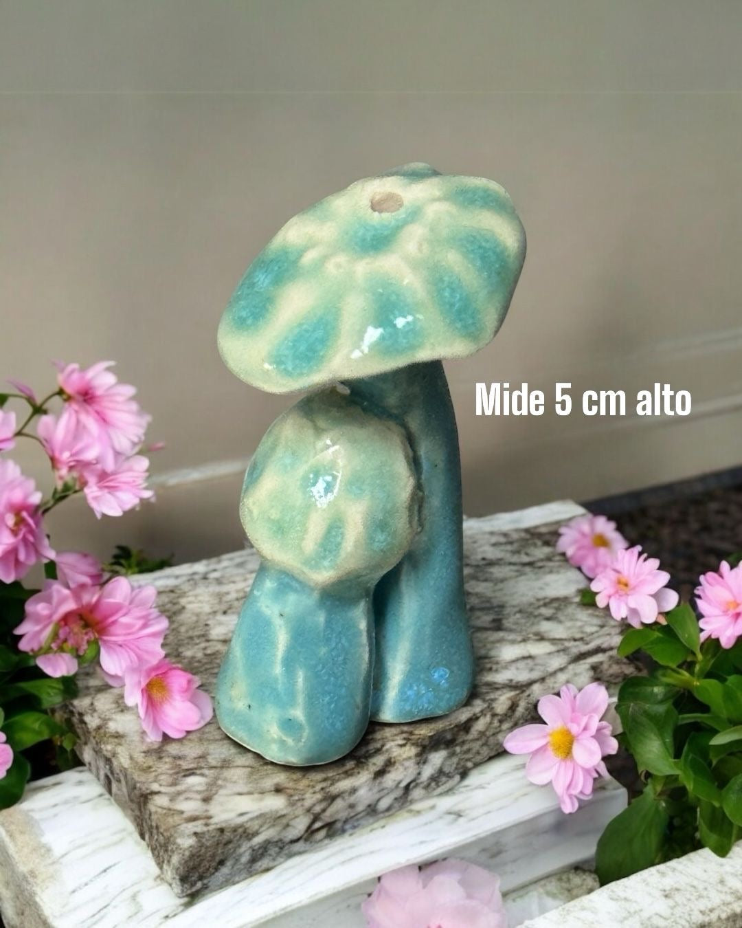Quemador de Incienso Artesanal [Hongos Gemelos]