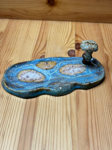 Hongo Mágico: Base para Lentes de Cerámica